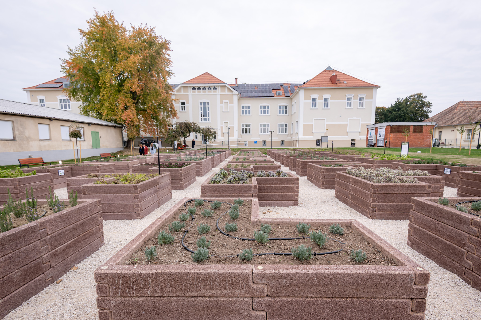 videkfejlesztesi_program (4).jpg